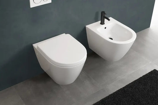 Sanitari sospesi Rimless vaso bidet e sedile in ceramica bianca senza brida